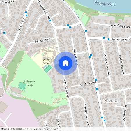 54 Ashurst Avenue, 3200, Pukete