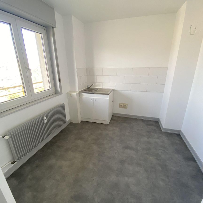 51000038 – Appartement – F1 BIS – Richwiller (68120) - Photo 1