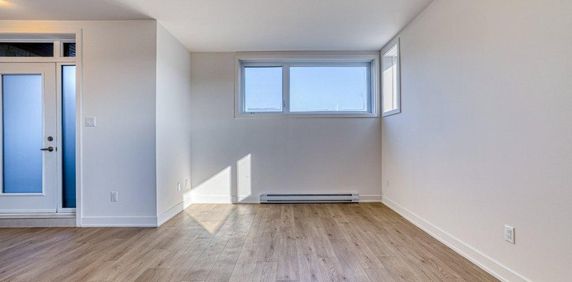 Charmant appartement d'une chambre au sous-sol | Emplacement idéal pour les navetteurs - 410, rue Des Becs-Scie, app. 2, Gatineau (Masson-Angers), QC - Photo 2