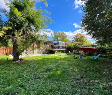 For Lease - 87 Willesden Road Unit# Bsmt, Toronto, Ontario - Photo 5