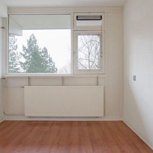 Spuikreek, 3079 Rotterdam, Nederland - Photo 2