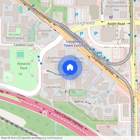 google map, Burnaby, Burnaby, Metro Vancouver, V3N 4P5