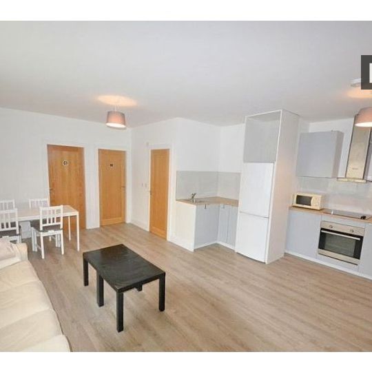 Room for rent in 4-bedroom apartment in Drimnagh, Dublin - Photo 1