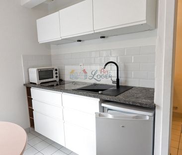 Location Appartement 1 pièce 21m² CARQUEFOU 44470 - Photo 3