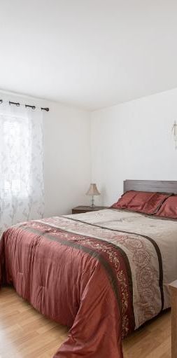 Appartement 4 ½ à louer Lévis novembre 2025 - Photo 1