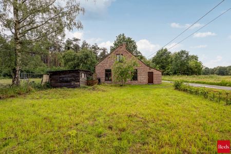 Knus huisje tussen de velden van Bonheiden - Photo 5
