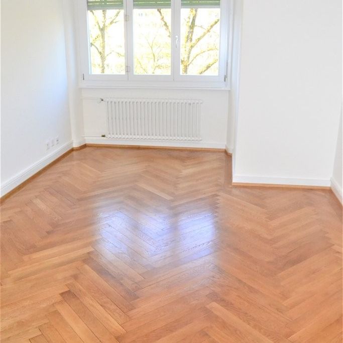 Bord de l'Arve - Photo 1