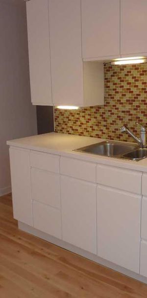 4 1/2 tranquille dans Ahuntsic - Photo 1