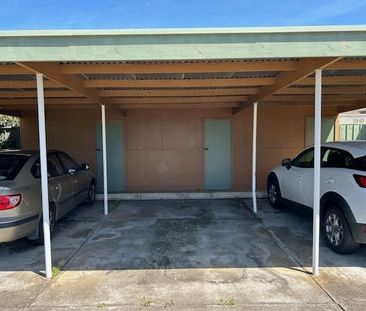 FRSHLY RENOVATED UNIT IN WELL MAINTAINED COMPLEX - Photo 3