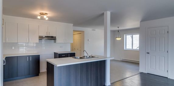 54 Rue Katimavik (Hull) Spacieux 4 1/2 - Photo 2