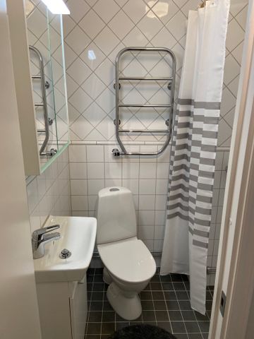 Jungfrudansen, Solna - Photo 4