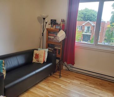 À louer / Appartement - Photo 4