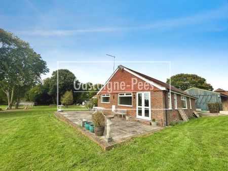 Haslemere Road, Brook - Photo 5