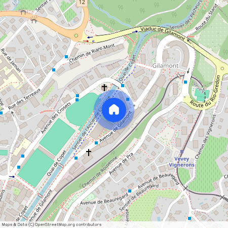 1800, Vevey, Avenue de Gilamont, 21B