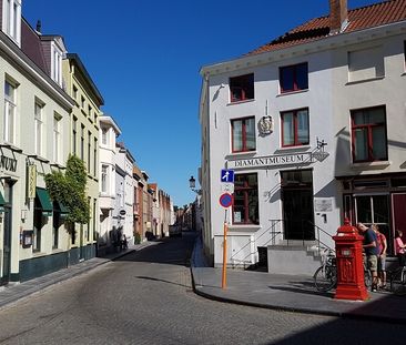 Ruim instapklaar 2-slaapkamerappartement te huur in Brugge - Foto 3