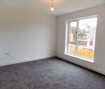 5 Larch Lane, Lisburn, BT28 2ZX - Photo 3