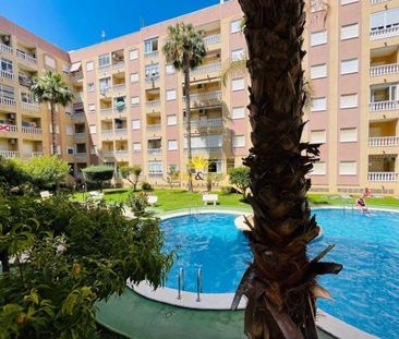 1 BEDROOM GROUND FLOOR APARTMENT - TORREVIEJA - Photo 5