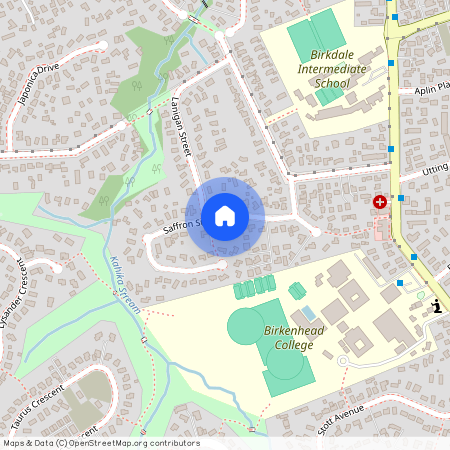 26 Saffron Street, Birkdale, Auckland