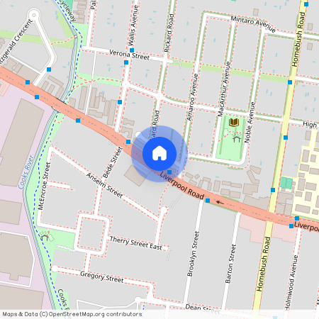 203/507-511 Liverpool Road, NSW 2135, Strathfield