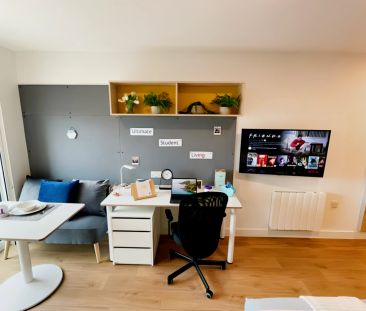 Premium Plus - Photo 2