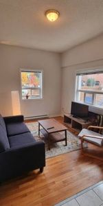 ROOMMATE WANTED: 1BR available in sunny 2BR by Harbord Village - Photo 4