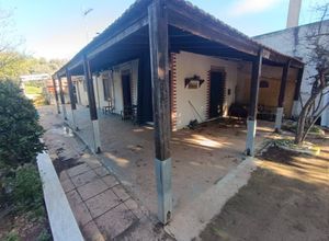 Μονοκατοικία για ενοικίαση - Ραφήνα, - Photo 4