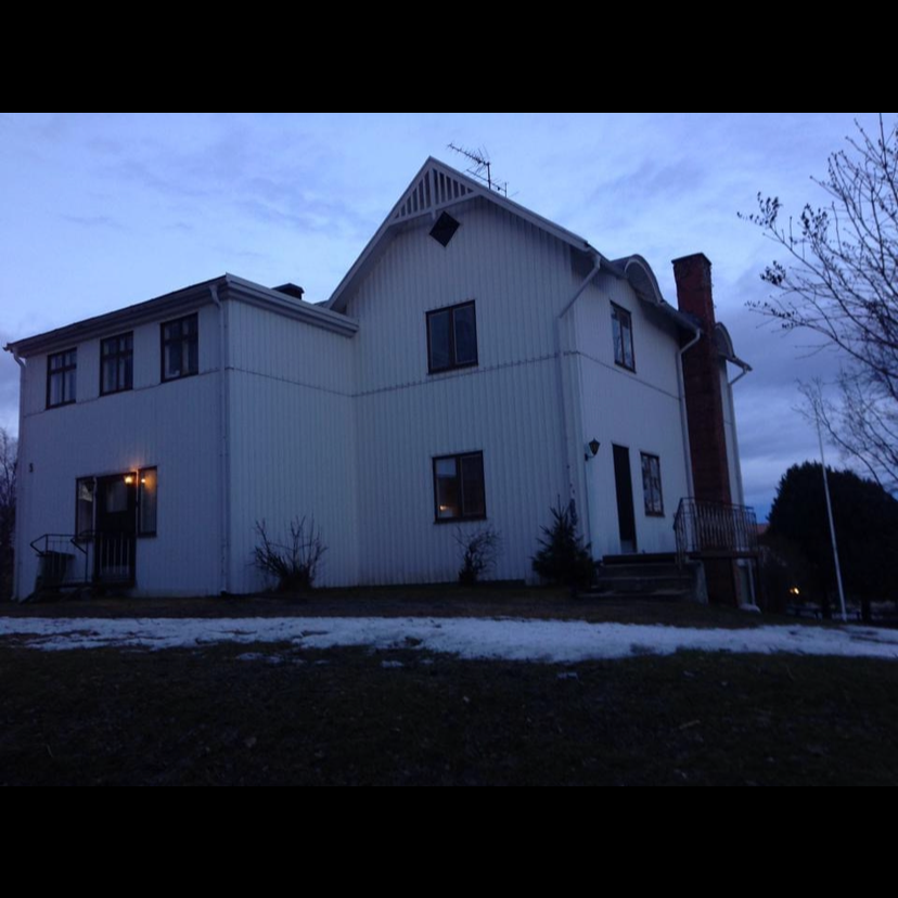 Storsjövägen, Skog - Foto 1