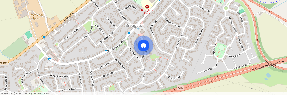 Copper Beech Close, Broughton, CH4