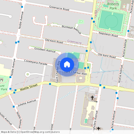 55 St Charbel Way, NSW 2196, Punchbowl