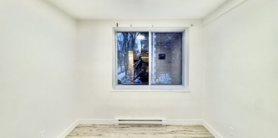 Studio - Ontario #103 - Photo 3