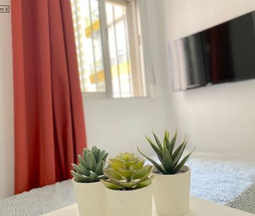 Avenida de Sánchez Pizjuán, Sevilla, Andalusia 41009 - Photo 1