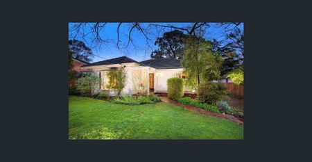 Alluring Class and Charm - Photo 4