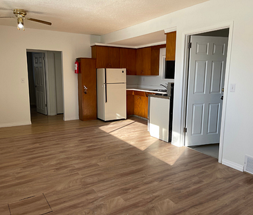 Newly Renovated 2 Bedroom Basement Suite - Photo 1