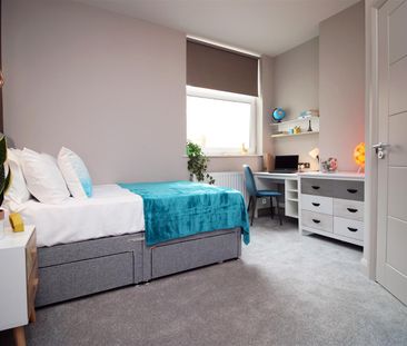 Room For Rent Colum Road, Cardiff - Photo 4