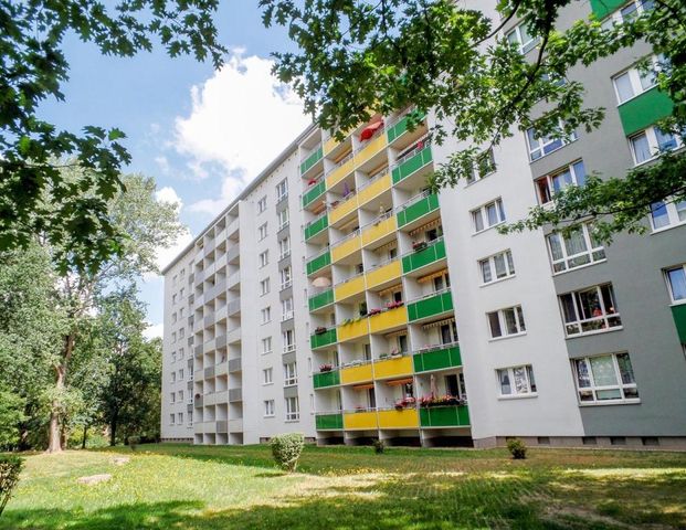 Ebenerdig erreichbare Singlewohnung mit Balkon - Photo 1