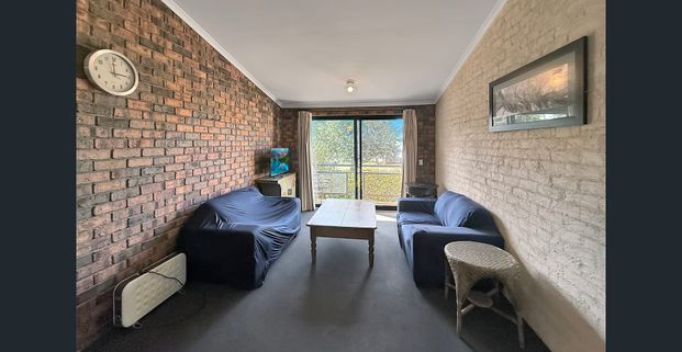 Centrally Located Apartment with Filtered Lake & Mountain Views- Short Terrm Lease - Photo 1