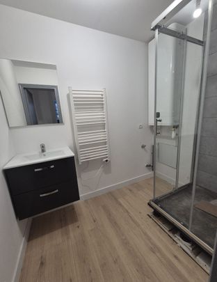 Appartement T1 LILLE à louer - Photo 1