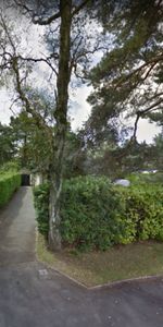 Ferndown LARGE MODERN BUNGALOW - Photo 3