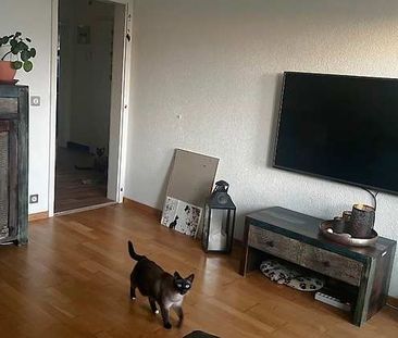 2 Zimmer, 50 m², 3. Stock - Foto 1