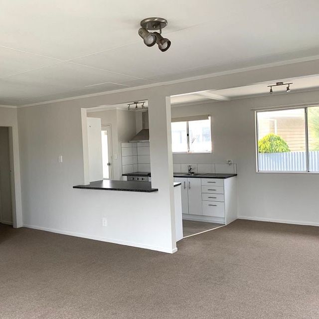 Charming 3 bedroom Home Paraparaumu Beach - Photo 1