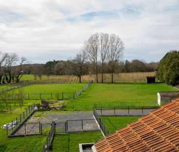 Ruime en Recent Gerenoveerde Woning te Huur aan de Stadsrand van Aa... - Photo 3