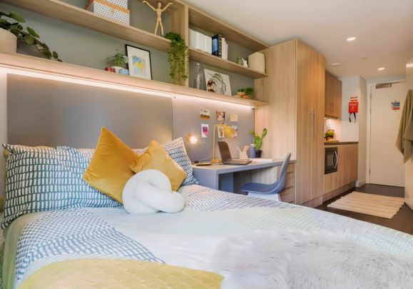 Bronze Studio Deluxe - Photo 1