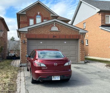For Lease - 256 Stone Road Unit# Bsmt, Aurora, Ontario - Photo 4
