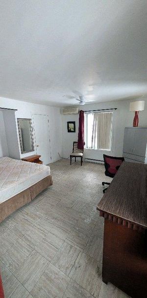 grande chambre avec un bureau - Photo 1