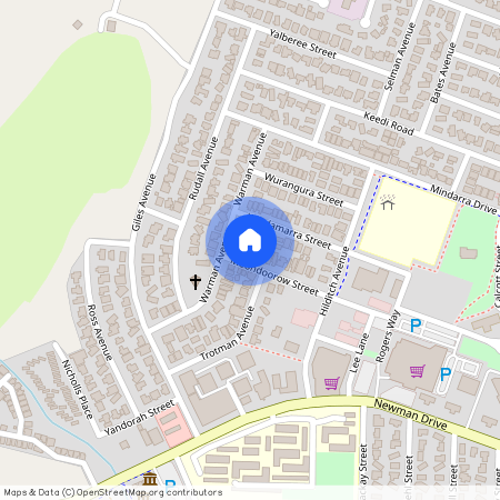 4B Moondoorow Street, NEWMAN WA 6753