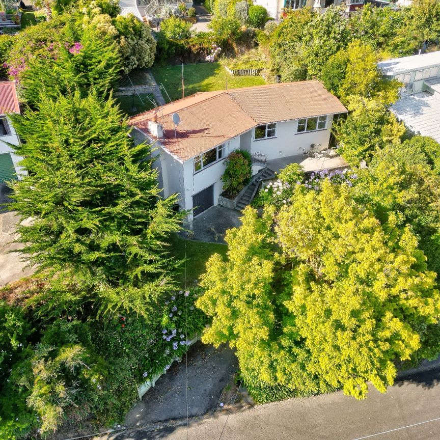 Durie Hill - 3 Bedrooms - Photo 1