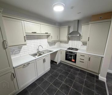 48 The Demesne, Carryduff, Belfast, BT8 8GW - Photo 4