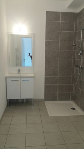 Location Appartement 2 pièces 40m² CARQUEFOU 44470 - Photo 4