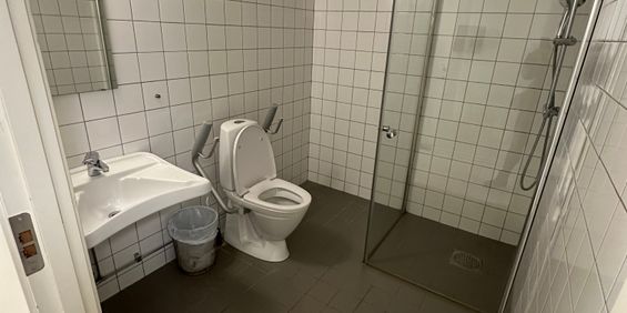 Polarvägen, Vega - Photo 3