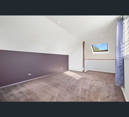 16 Weston Street, Dulwich Hill, NSW 2203 - Photo 3